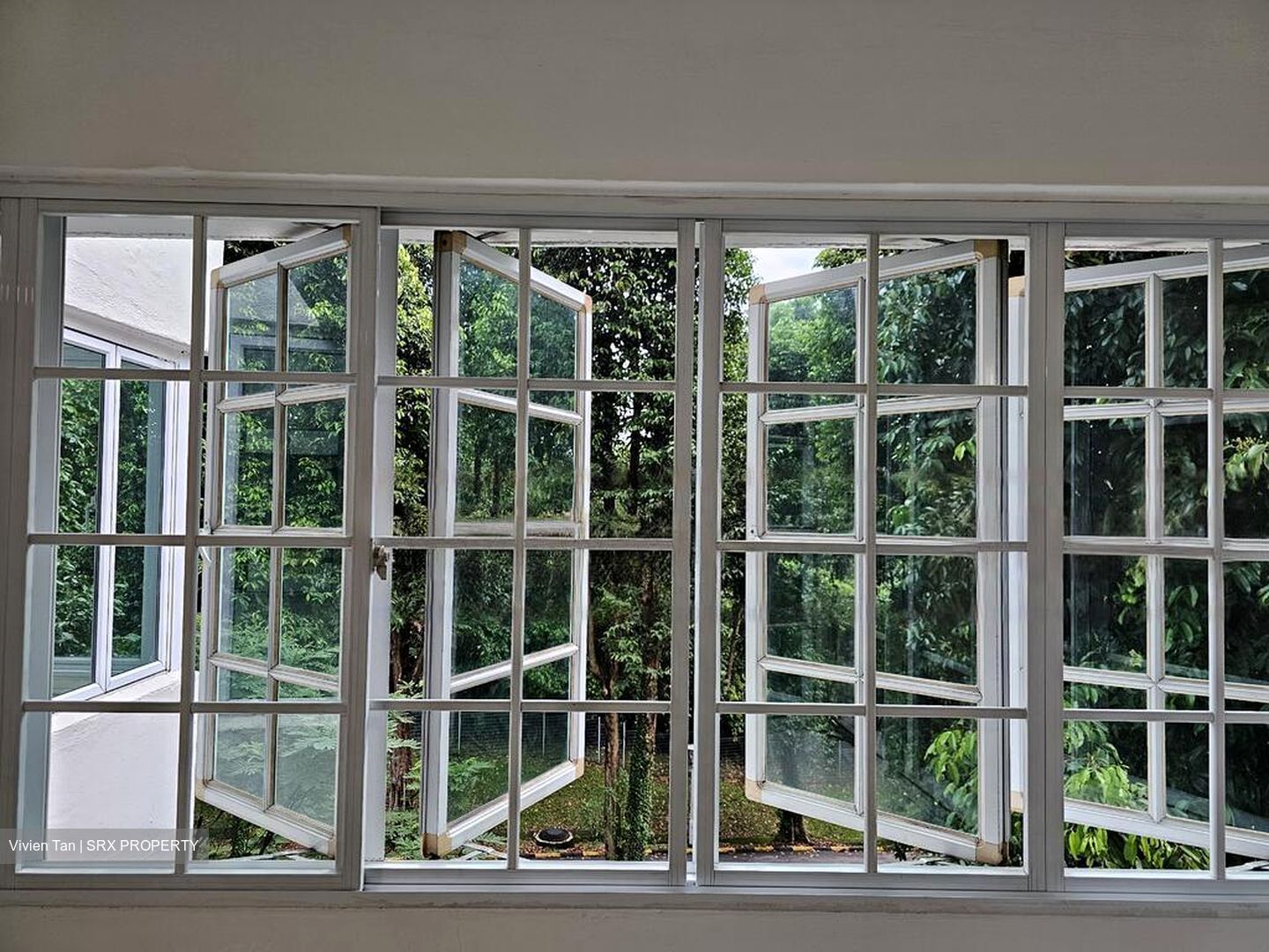 Braddell View thumbnail photo